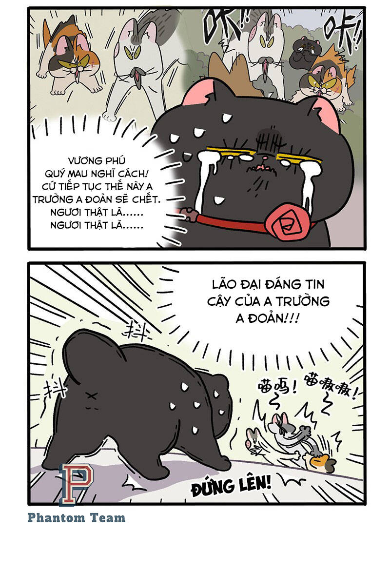 A Mãn Và Mạch Trà Chapter 40.1 - 4