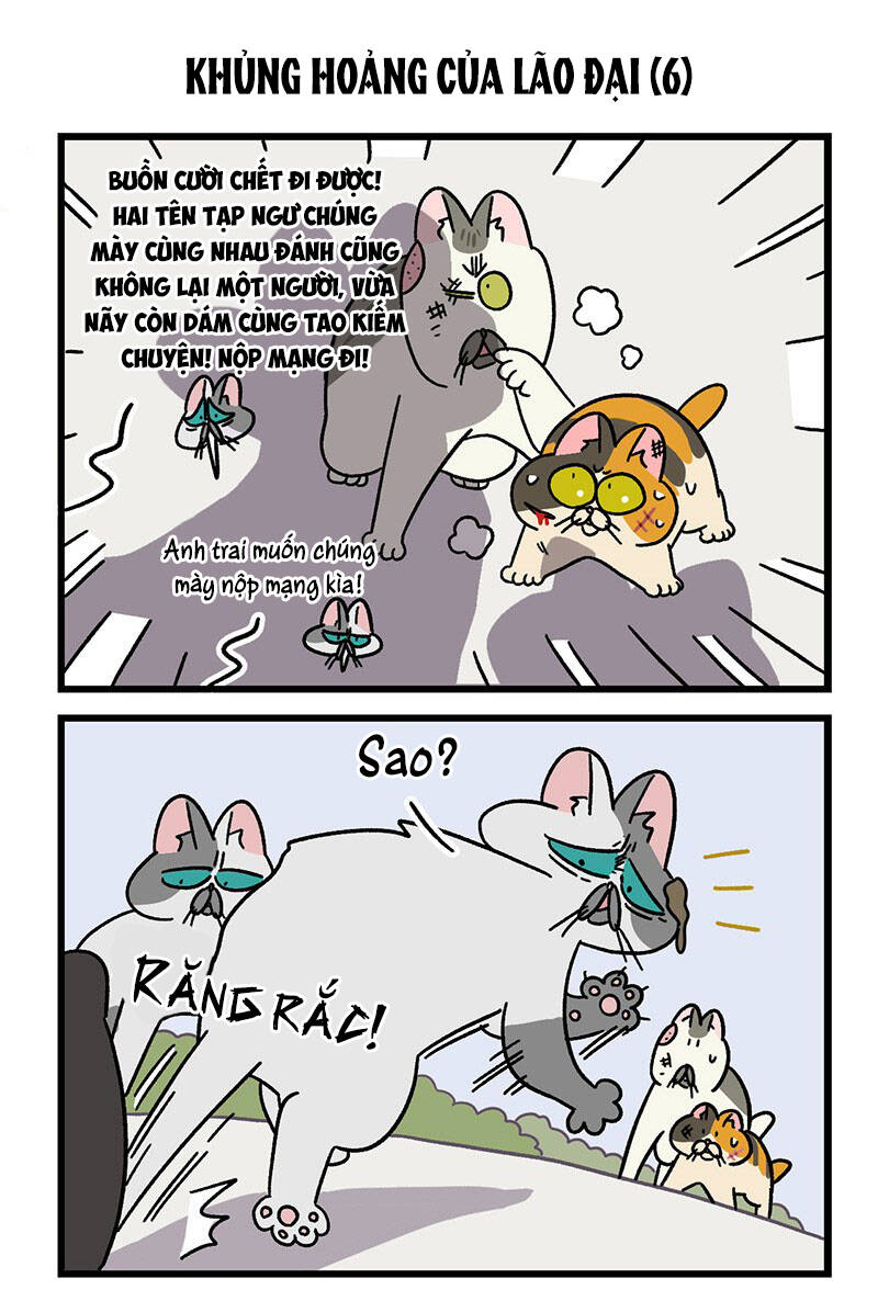 A Mãn Và Mạch Trà Chapter 40.1 - 5