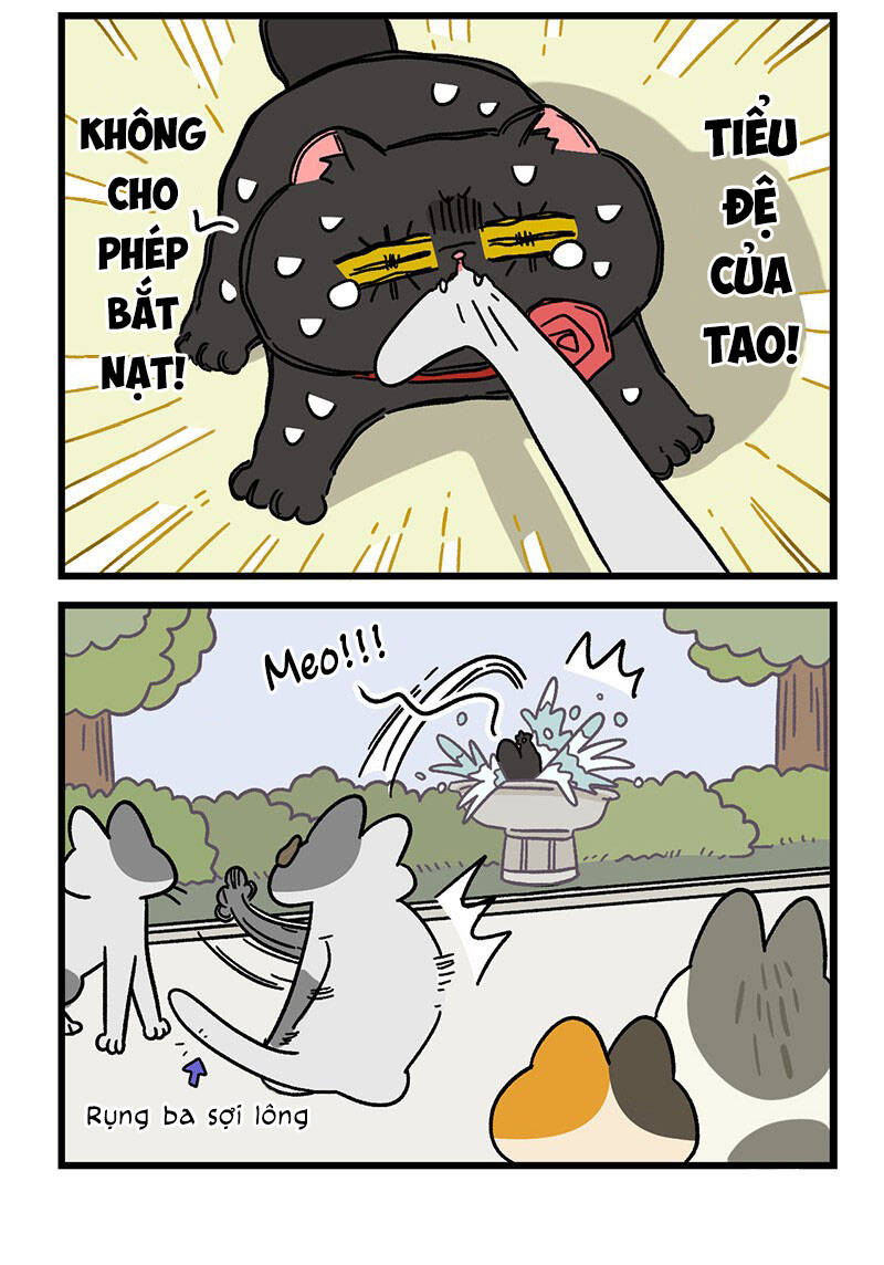 A Mãn Và Mạch Trà Chapter 40.1 - 6