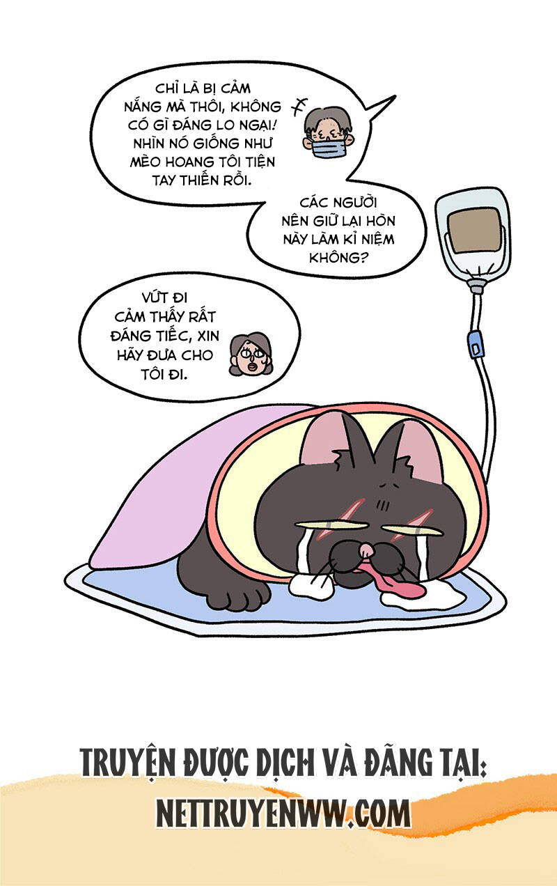 A Mãn Và Mạch Trà Chapter 40.1 - 7