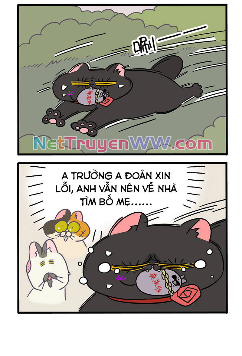 A Mãn Và Mạch Trà Chapter 40 - 4