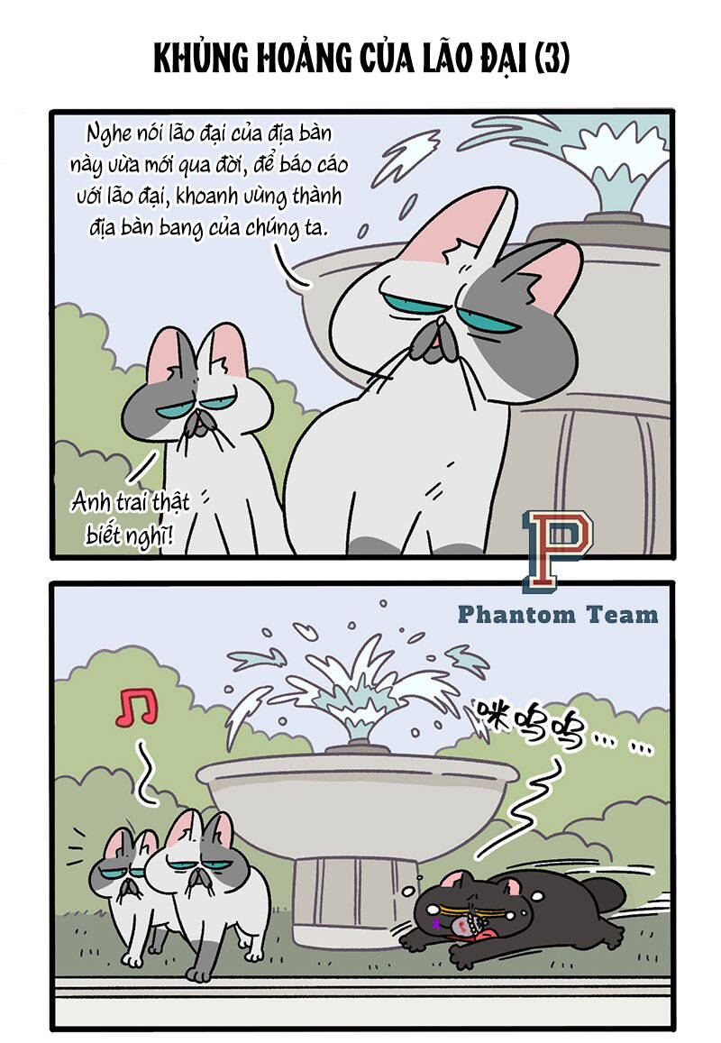 A Mãn Và Mạch Trà Chapter 40 - 5