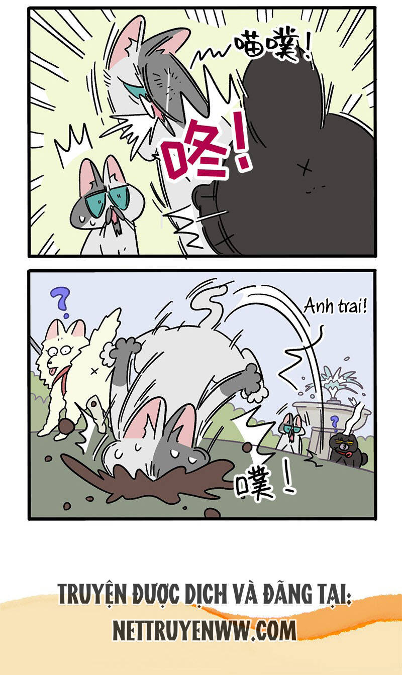 A Mãn Và Mạch Trà Chapter 40 - 6