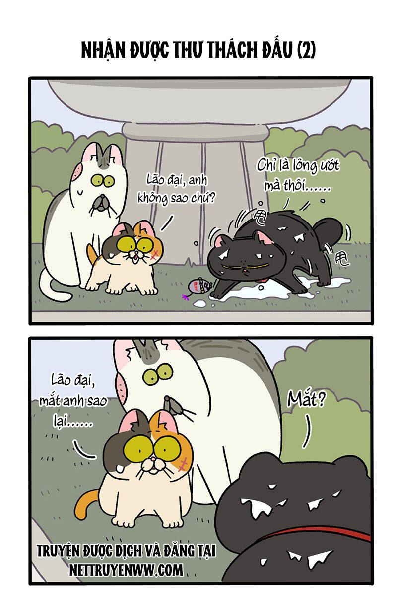 A Mãn Và Mạch Trà Chapter 41 - 3