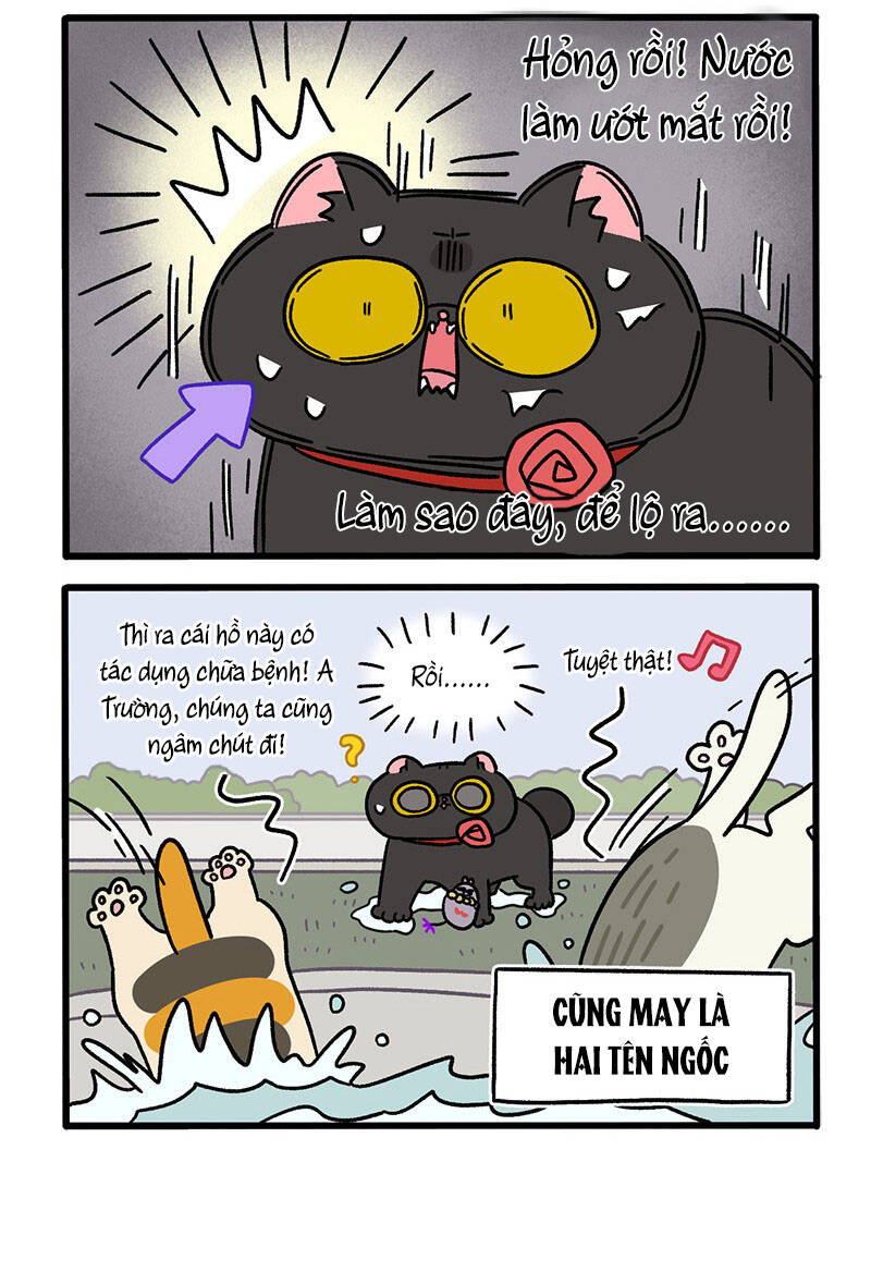 A Mãn Và Mạch Trà Chapter 41 - 4