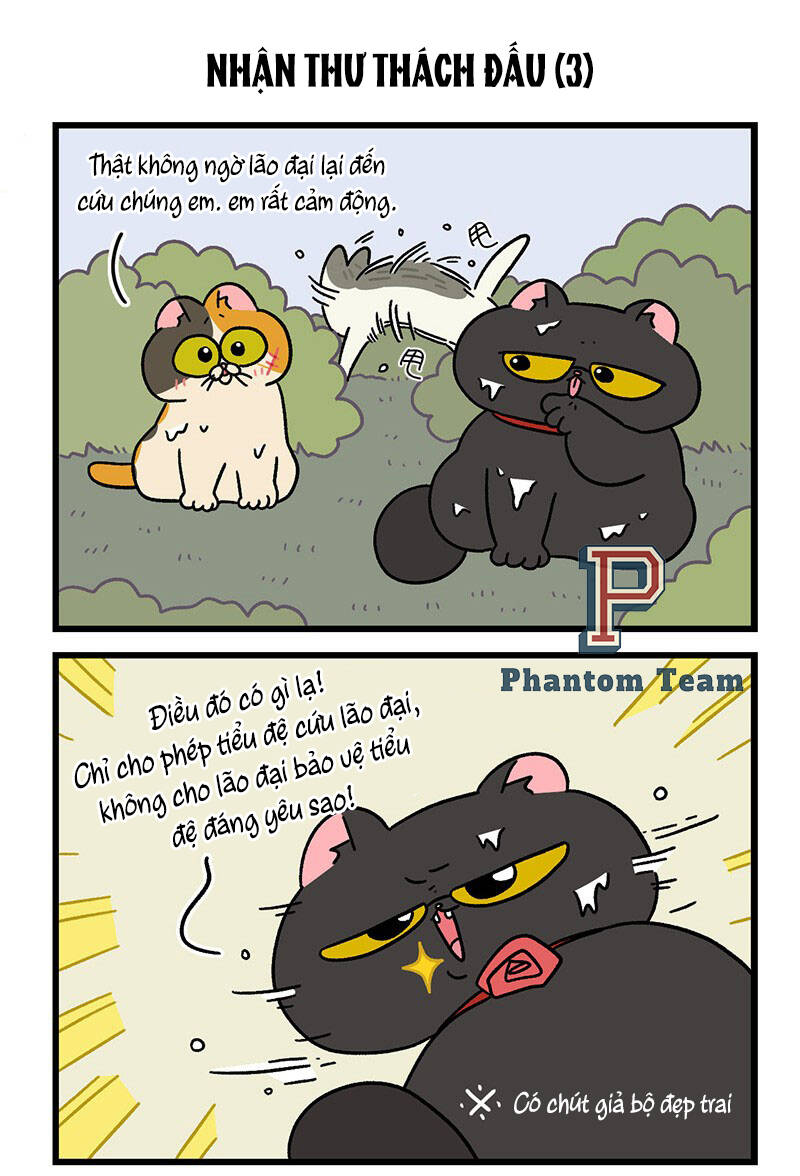 A Mãn Và Mạch Trà Chapter 41 - 5