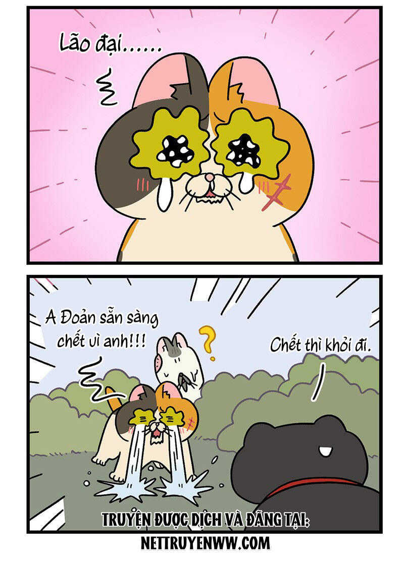 A Mãn Và Mạch Trà Chapter 41 - 6