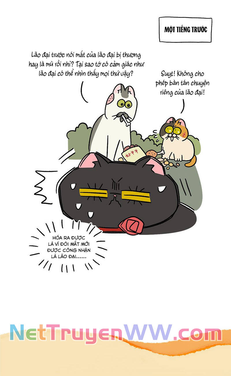 A Mãn Và Mạch Trà Chapter 41 - 7