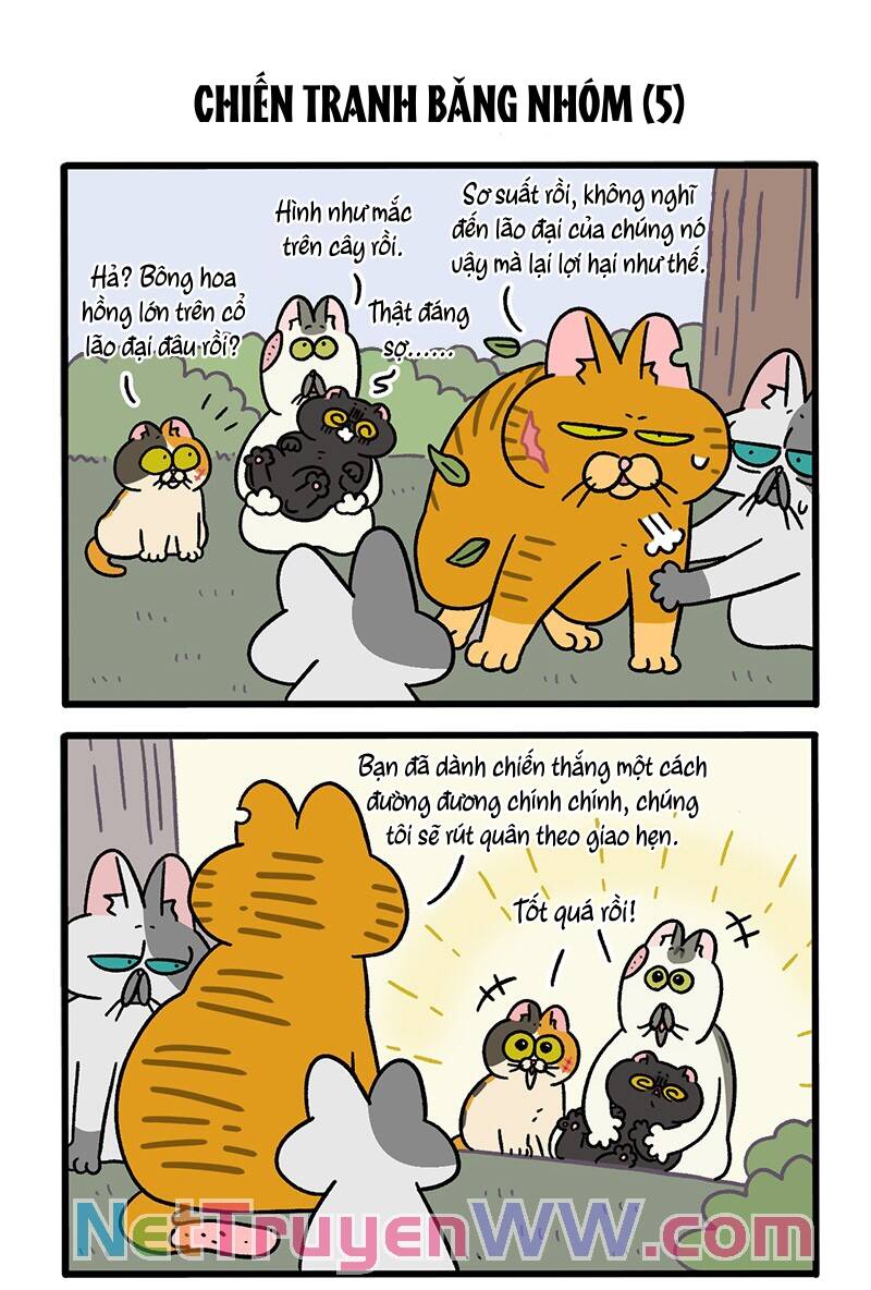 A Mãn Và Mạch Trà Chapter 43.1 - 3