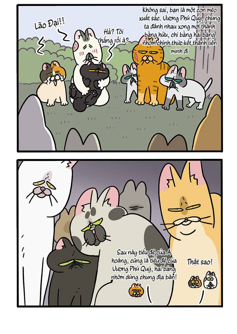 A Mãn Và Mạch Trà Chapter 43.1 - 4