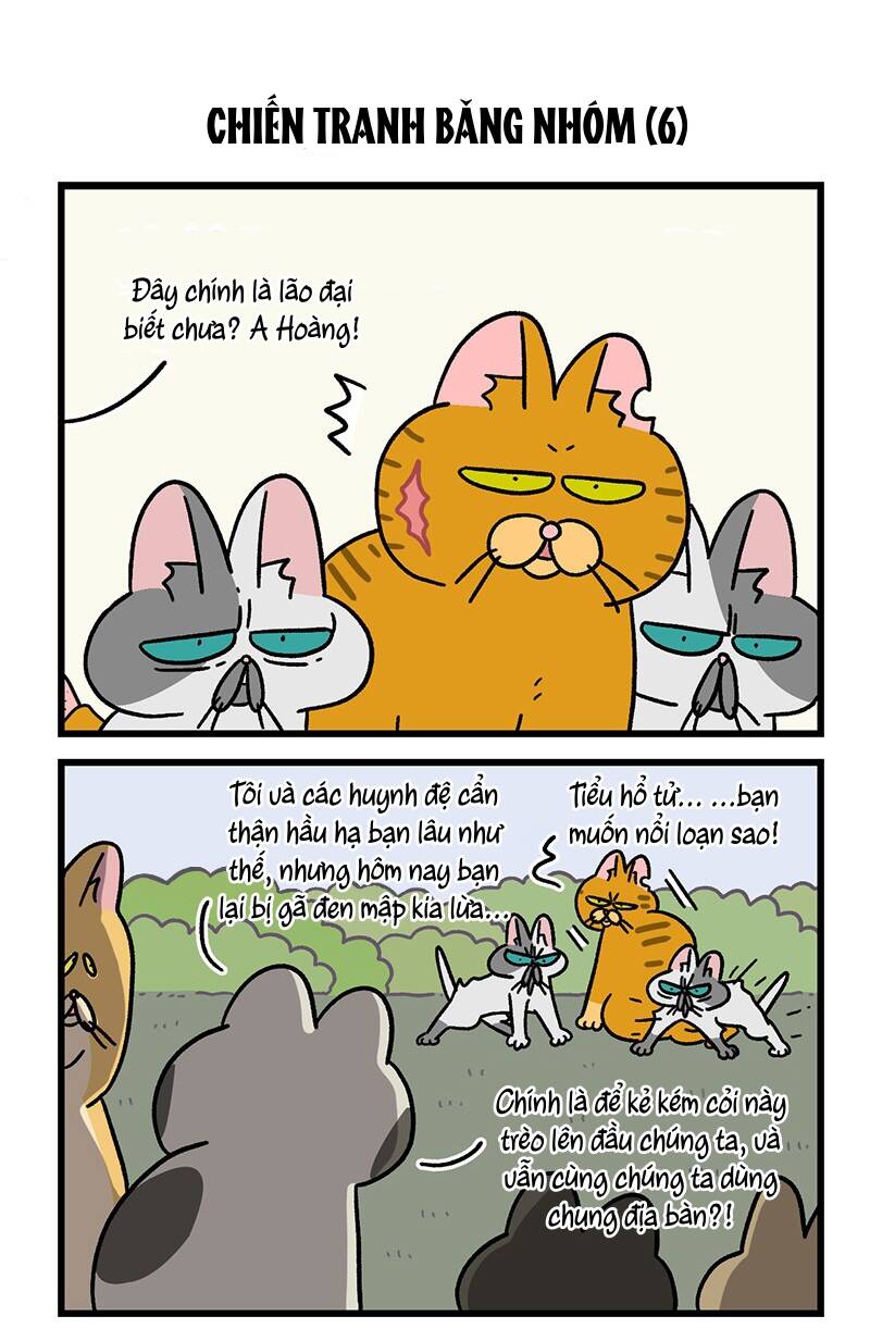 A Mãn Và Mạch Trà Chapter 43.1 - 5