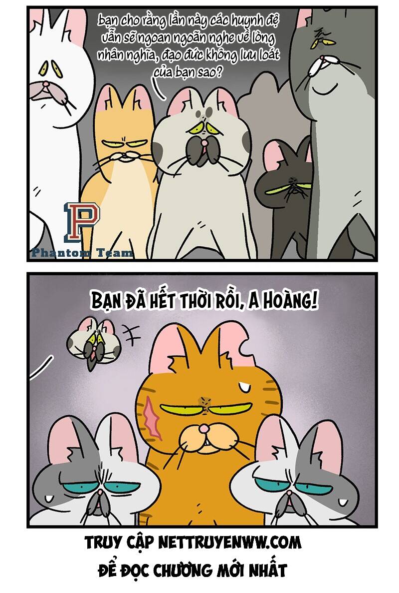 A Mãn Và Mạch Trà Chapter 43.1 - 6