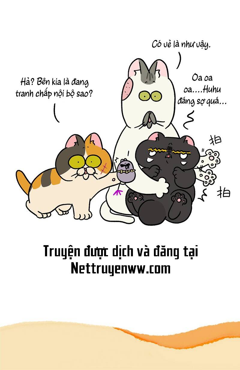 A Mãn Và Mạch Trà Chapter 43.1 - 7