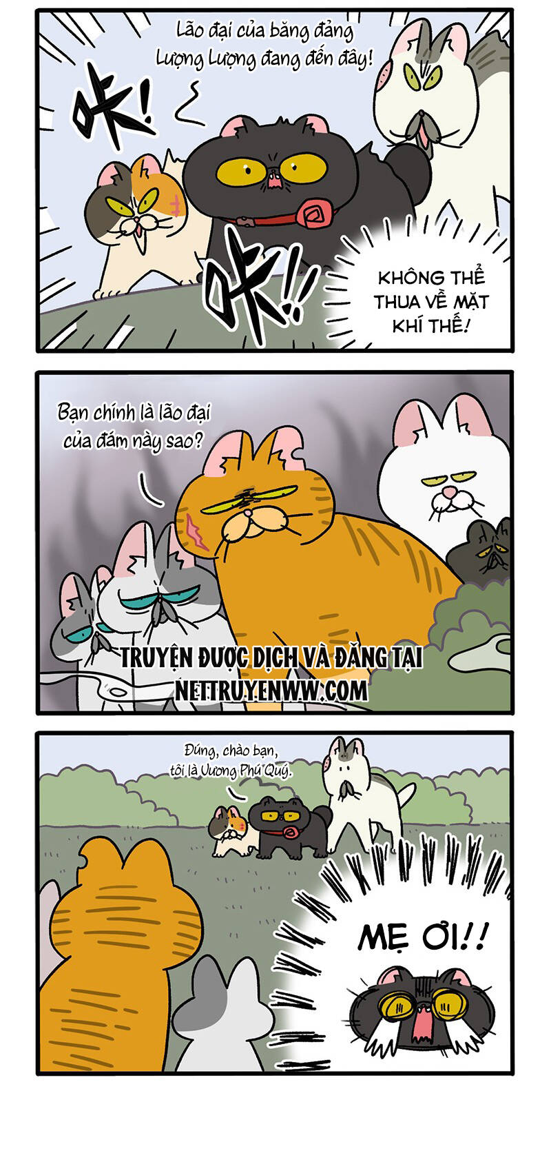 A Mãn Và Mạch Trà Chapter 43 - 2