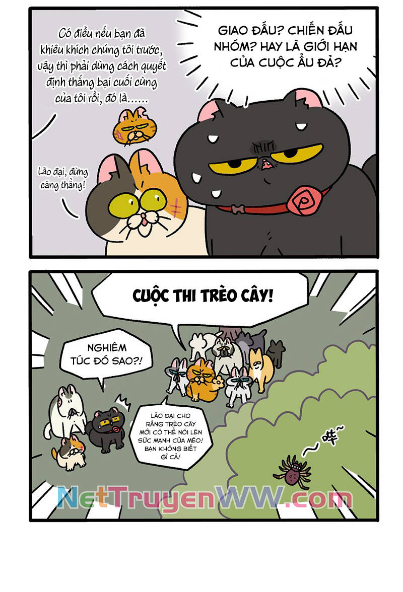 A Mãn Và Mạch Trà Chapter 43 - 4