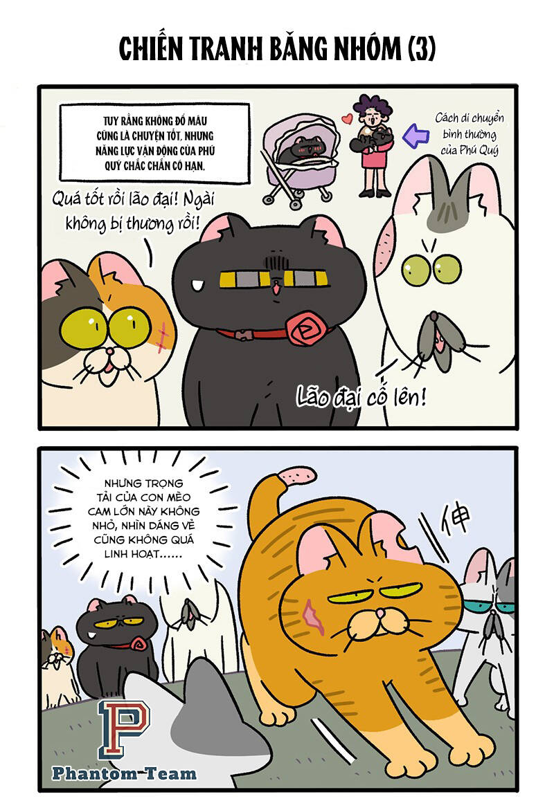 A Mãn Và Mạch Trà Chapter 43 - 5