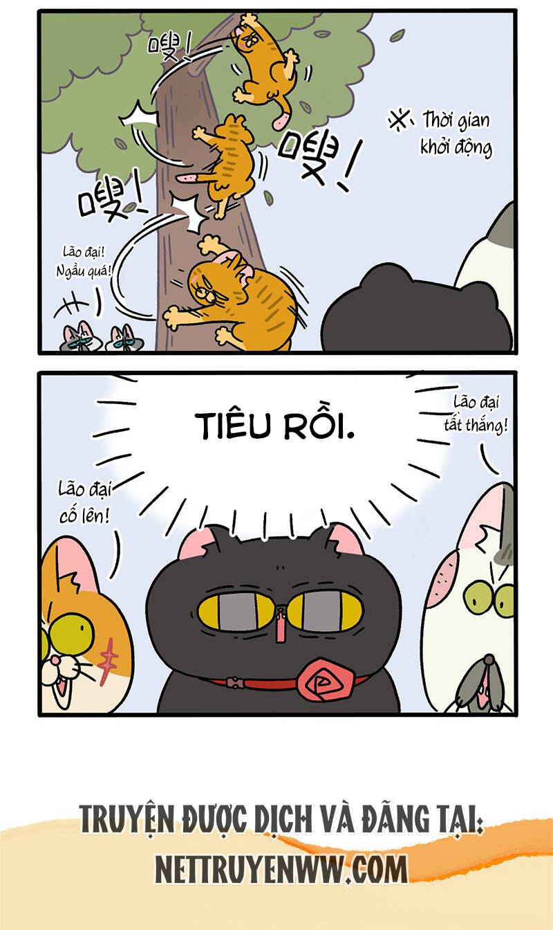 A Mãn Và Mạch Trà Chapter 43 - 6