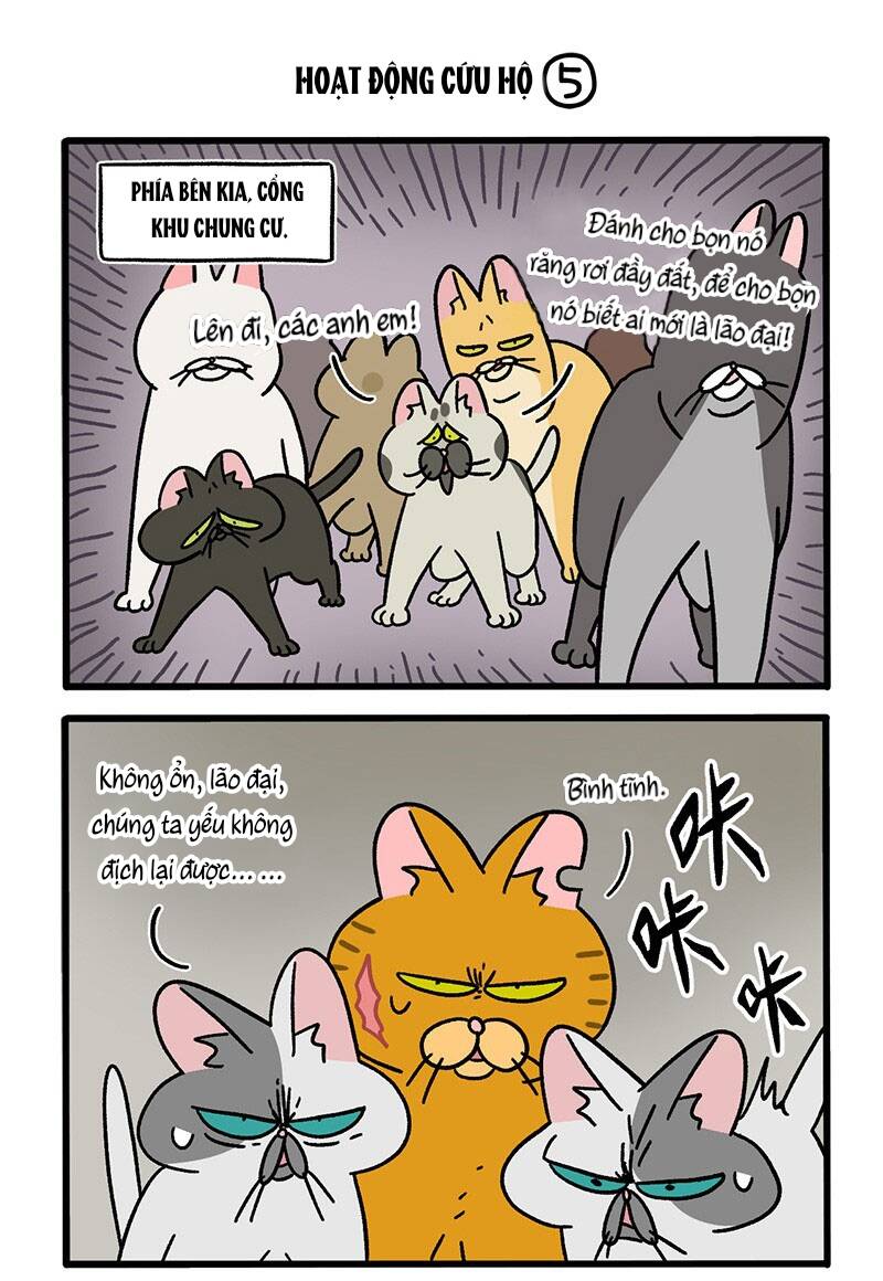 A Mãn Và Mạch Trà Chapter 44.1 - 3