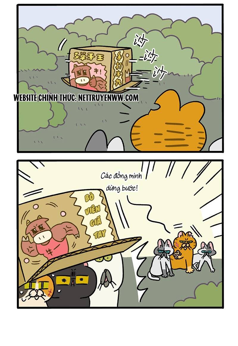 A Mãn Và Mạch Trà Chapter 44.1 - 4