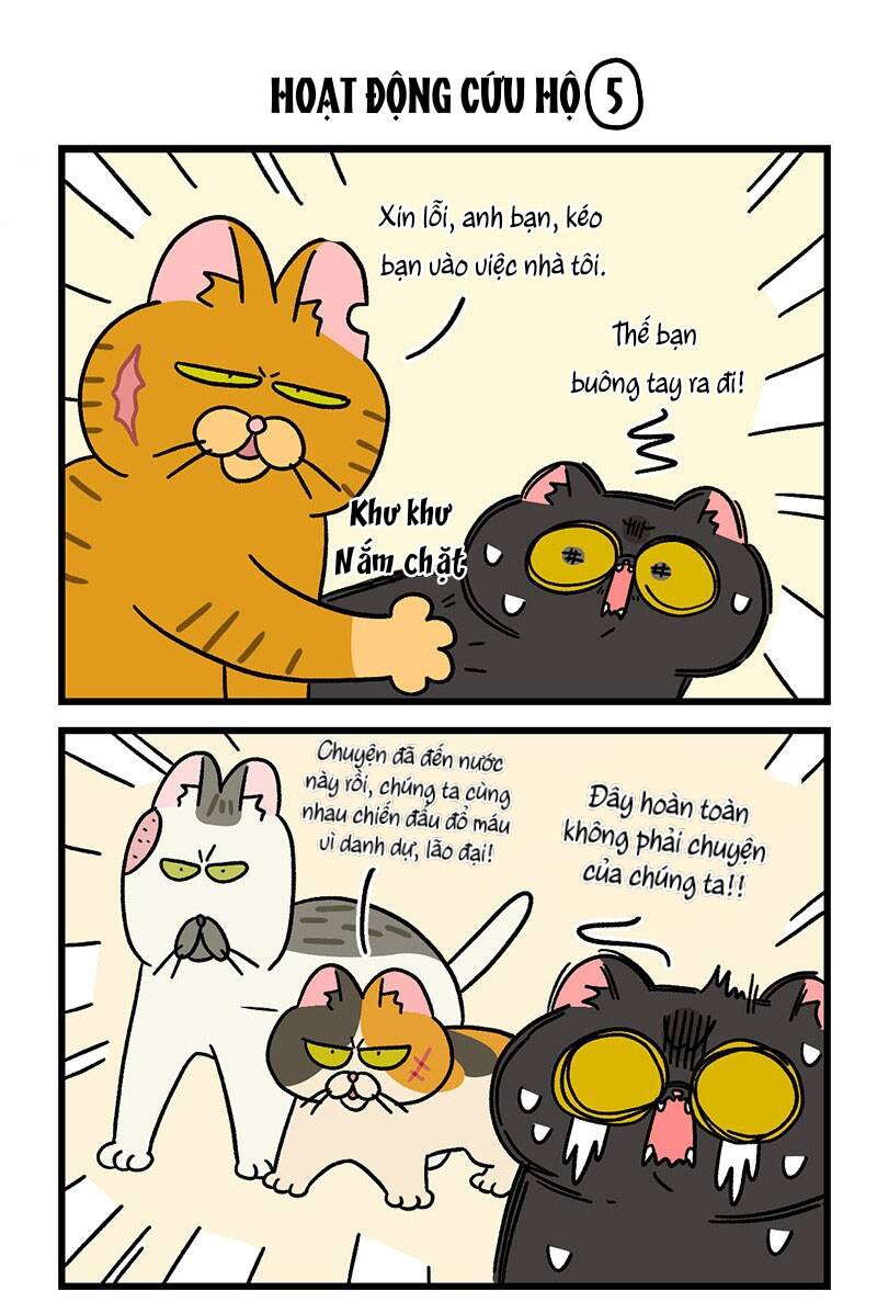 A Mãn Và Mạch Trà Chapter 44.1 - 5