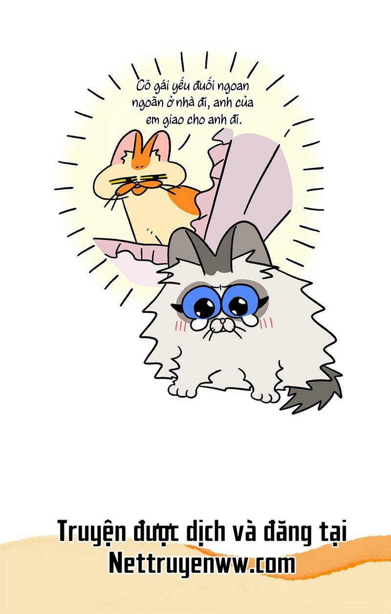 A Mãn Và Mạch Trà Chapter 44.1 - 7