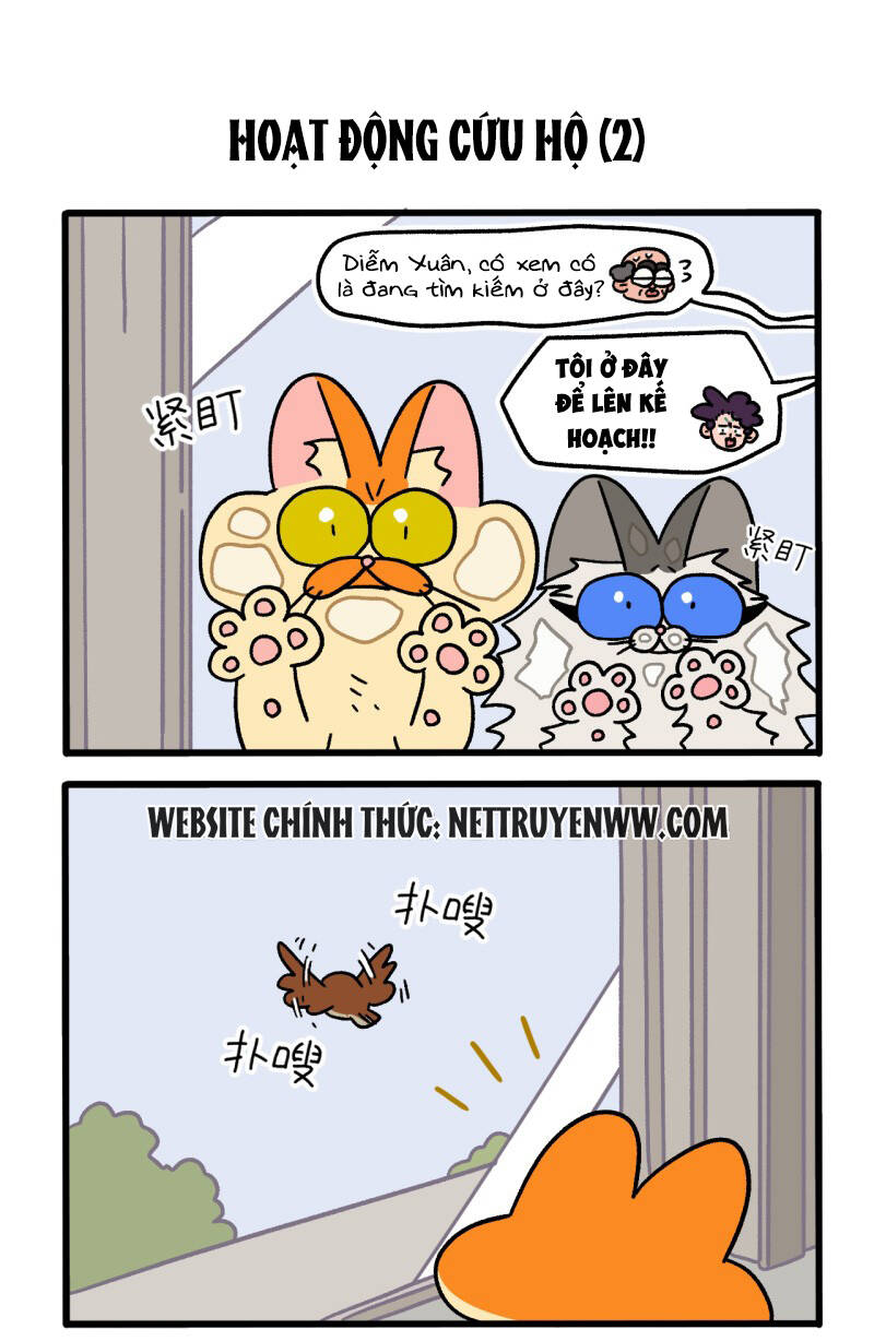 A Mãn Và Mạch Trà Chapter 44 - 3