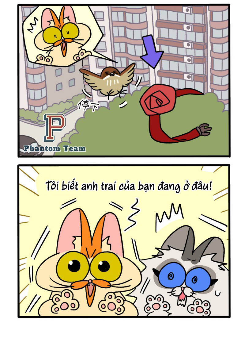 A Mãn Và Mạch Trà Chapter 44 - 4