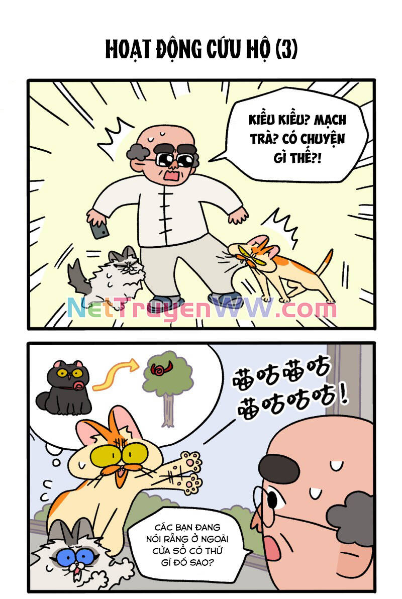 A Mãn Và Mạch Trà Chapter 44 - 5