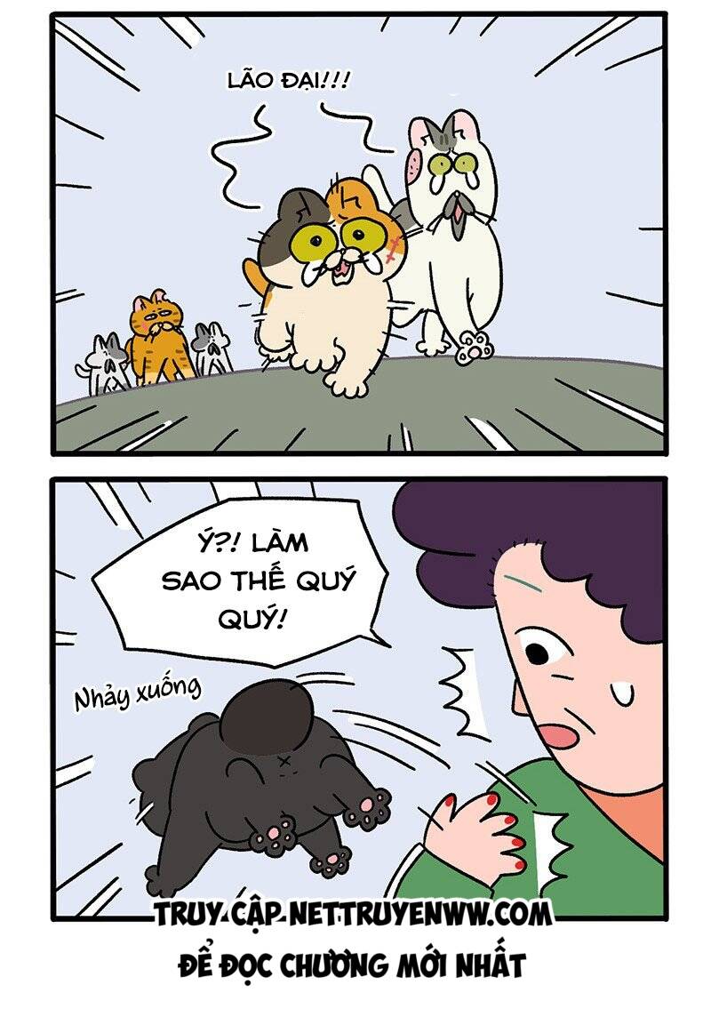 A Mãn Và Mạch Trà Chapter 45.1 - 4