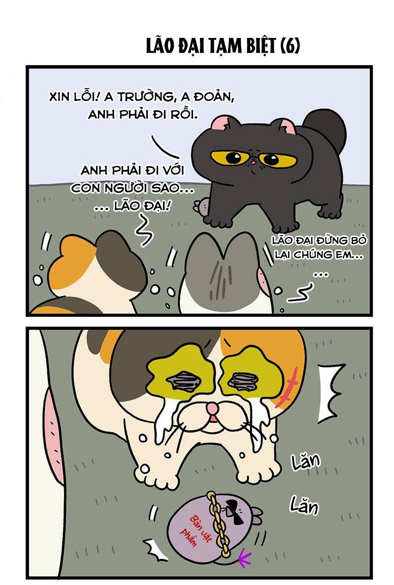 A Mãn Và Mạch Trà Chapter 45.1 - 5