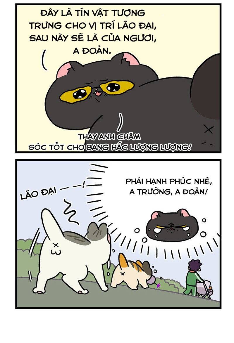 A Mãn Và Mạch Trà Chapter 45.1 - 6