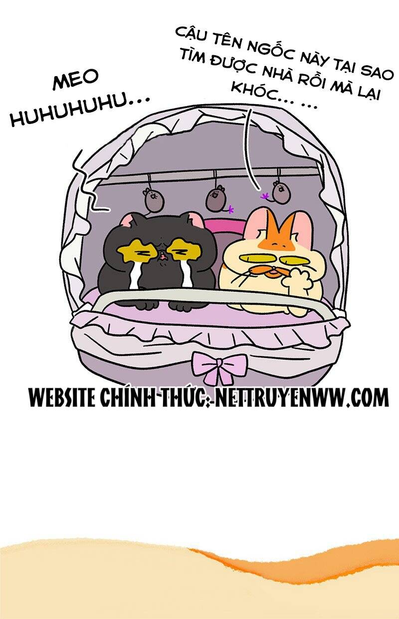 A Mãn Và Mạch Trà Chapter 45.1 - 7