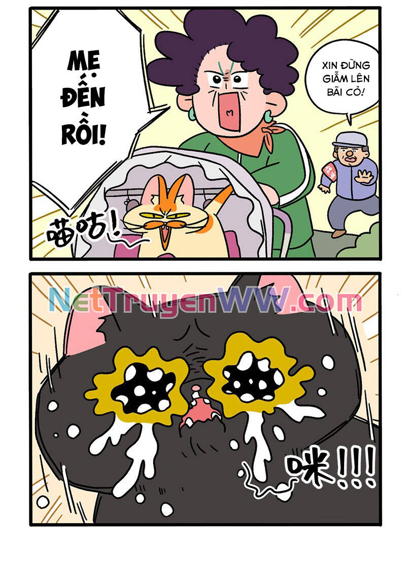 A Mãn Và Mạch Trà Chapter 45 - 4