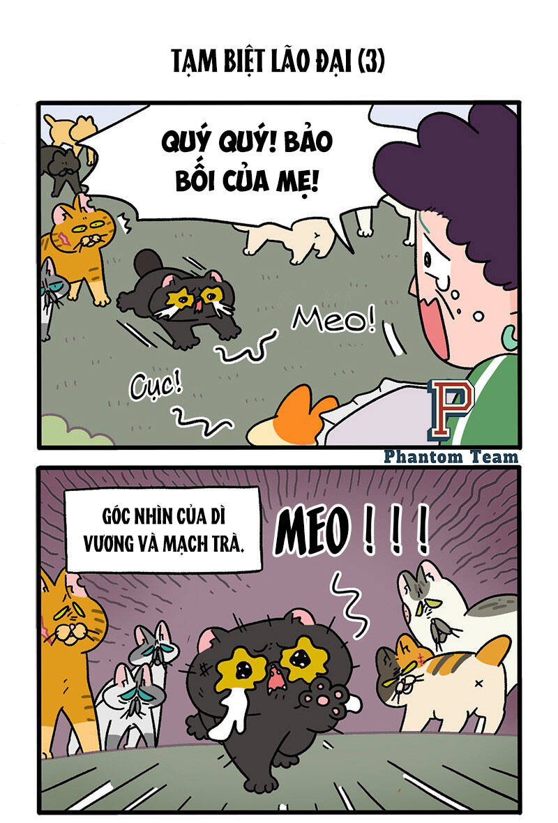 A Mãn Và Mạch Trà Chapter 45 - 5