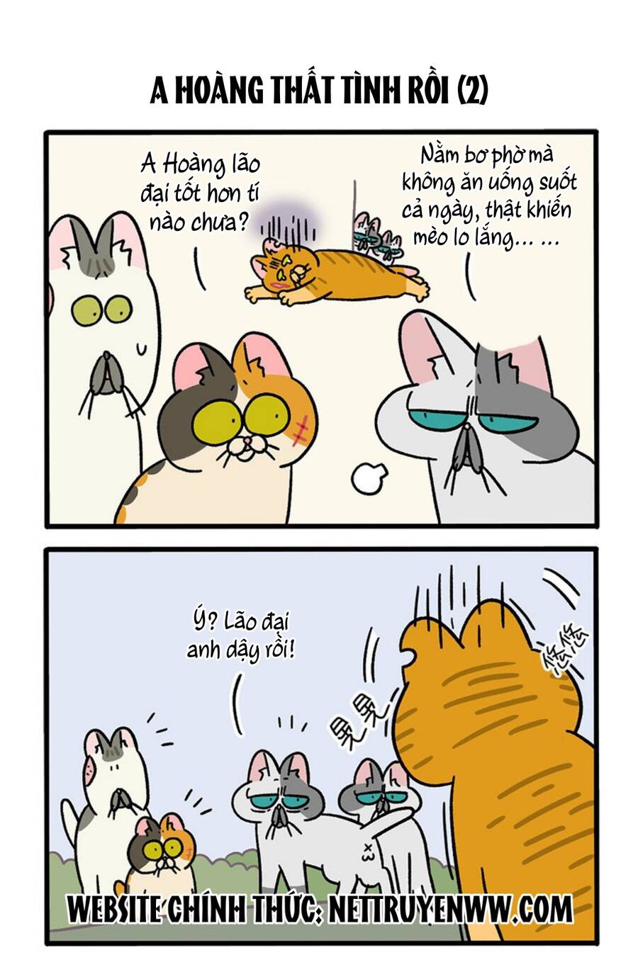 A Mãn Và Mạch Trà Chapter 46.1 - 3