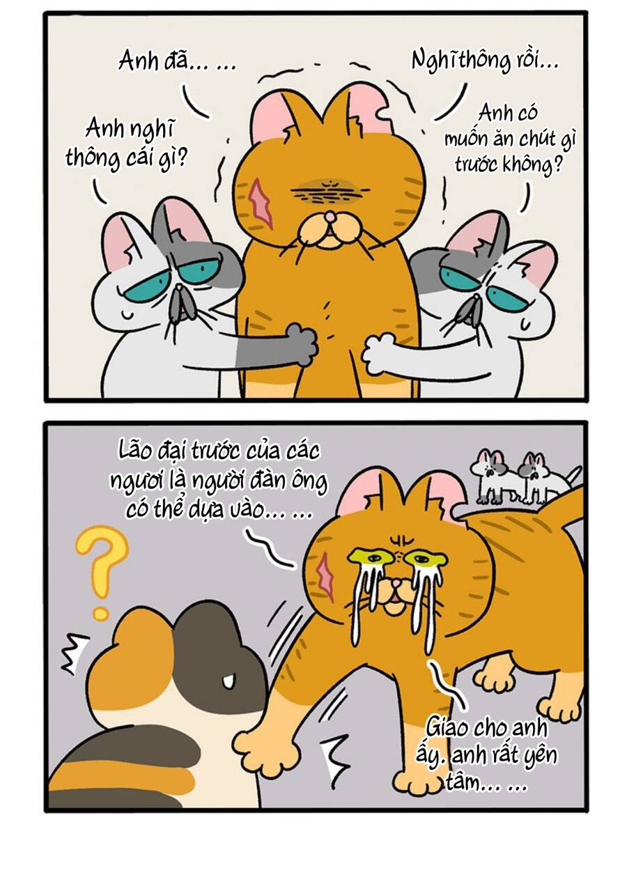 A Mãn Và Mạch Trà Chapter 46.1 - 4