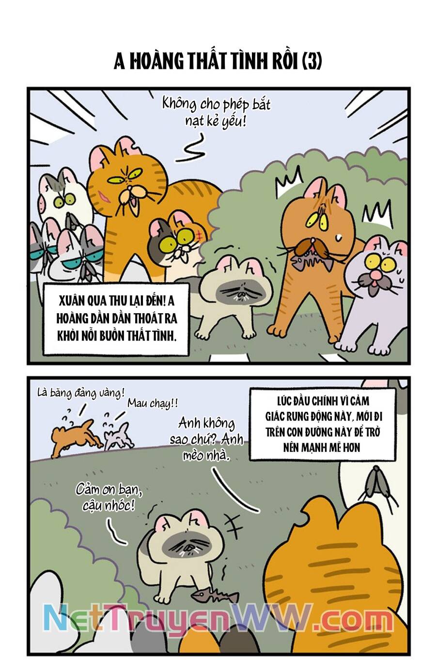 A Mãn Và Mạch Trà Chapter 46.1 - 5