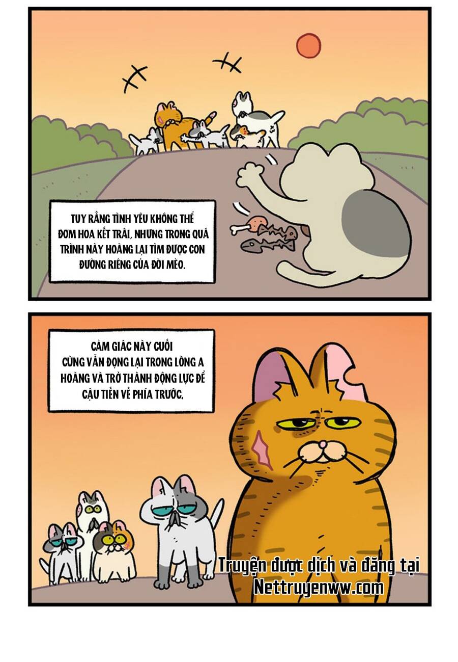 A Mãn Và Mạch Trà Chapter 46.1 - 6