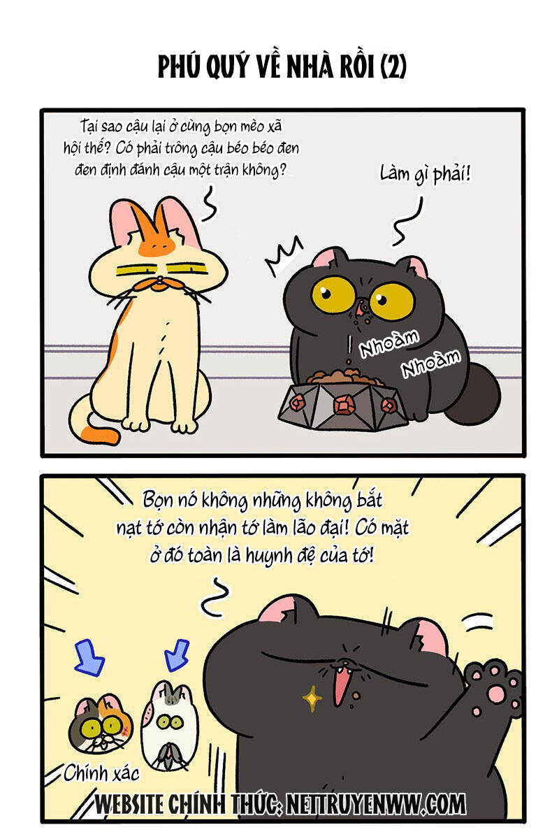 A Mãn Và Mạch Trà Chapter 46 - 3