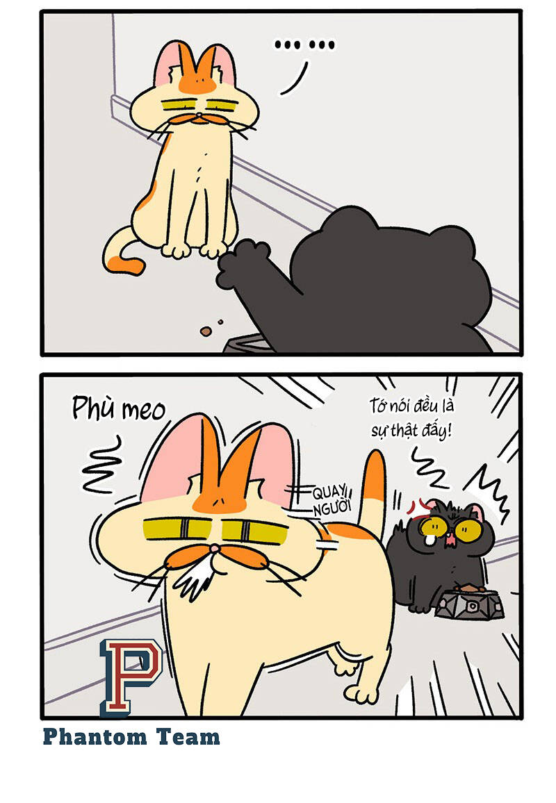 A Mãn Và Mạch Trà Chapter 46 - 4