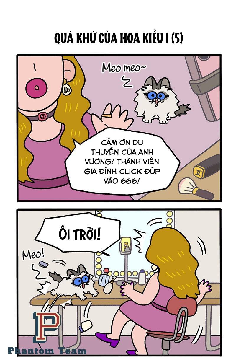 A Mãn Và Mạch Trà Chapter 47.1 - 3