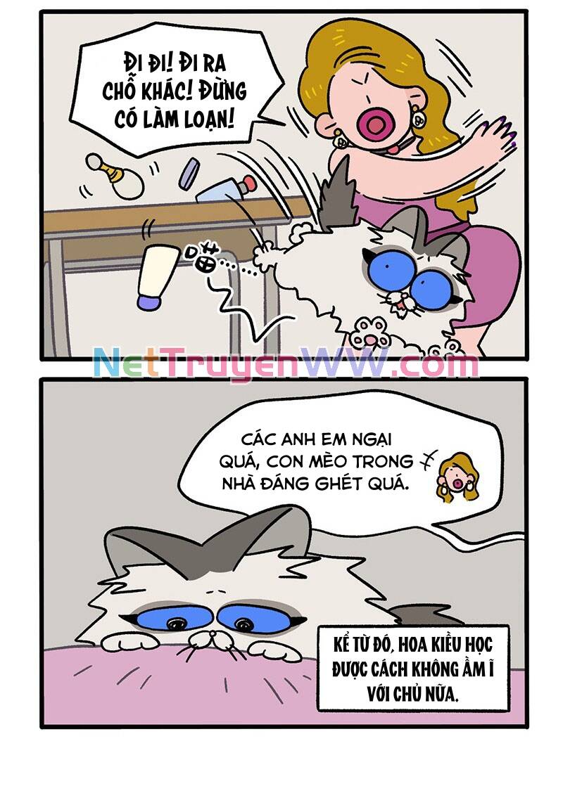 A Mãn Và Mạch Trà Chapter 47.1 - 4