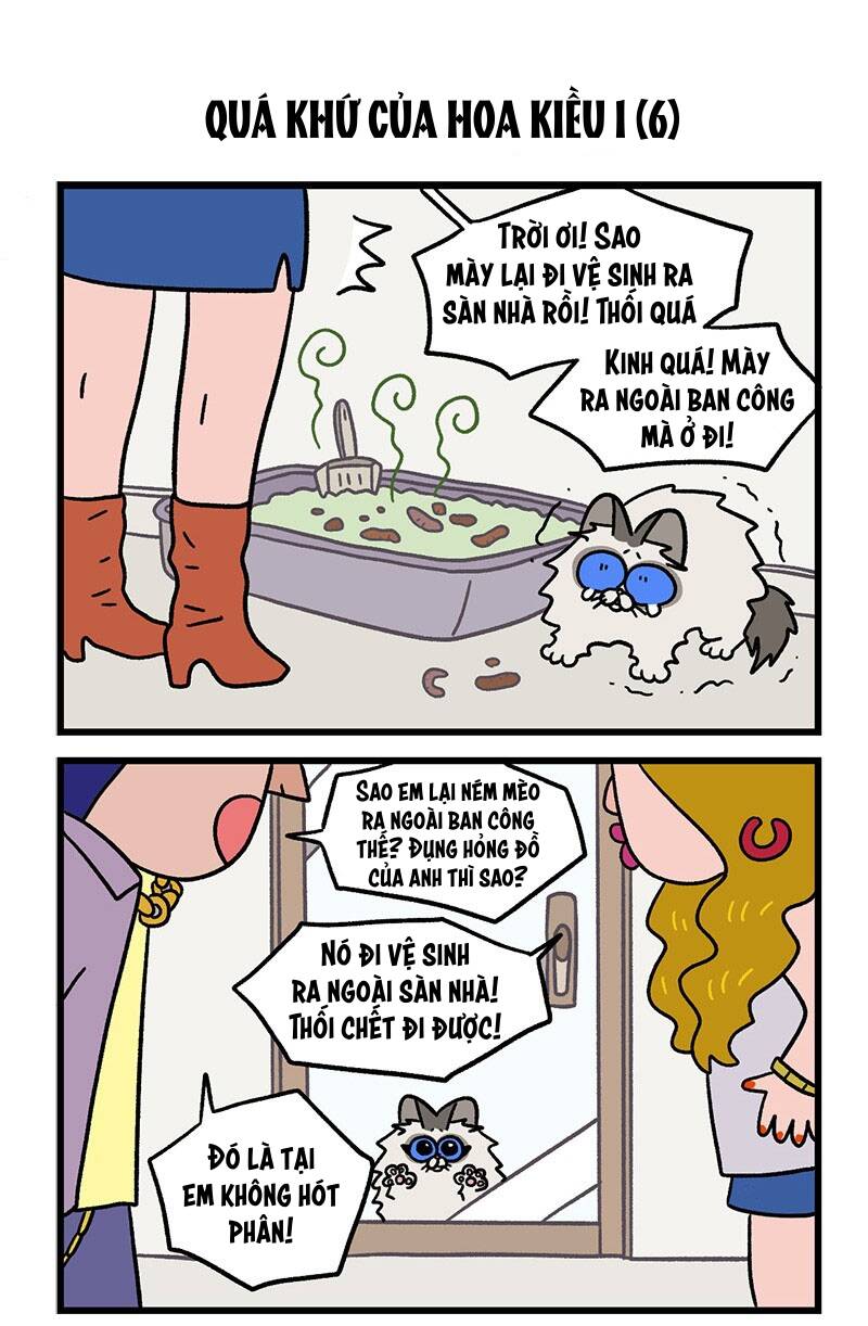 A Mãn Và Mạch Trà Chapter 47.1 - 5