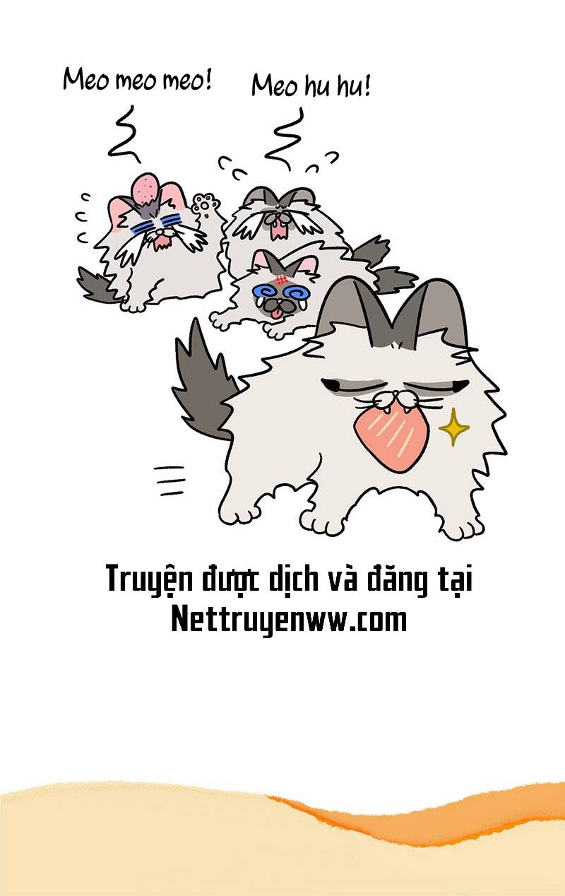 A Mãn Và Mạch Trà Chapter 47.1 - 7