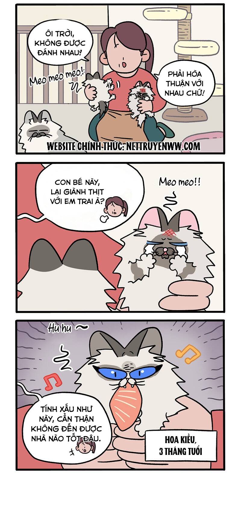 A Mãn Và Mạch Trà Chapter 47 - 2