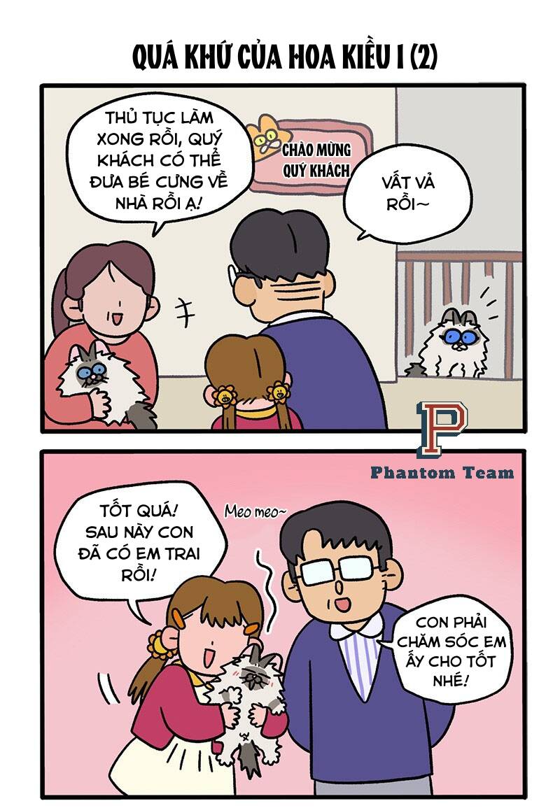 A Mãn Và Mạch Trà Chapter 47 - 3