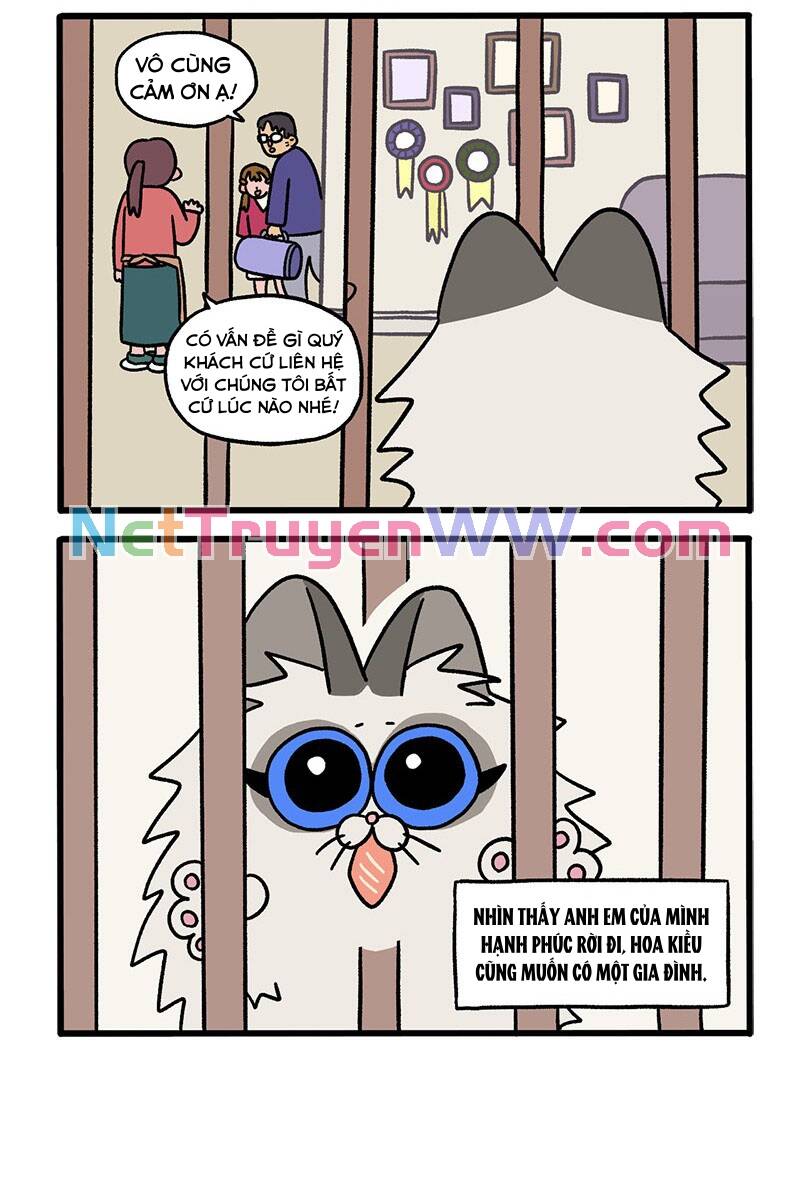 A Mãn Và Mạch Trà Chapter 47 - 4