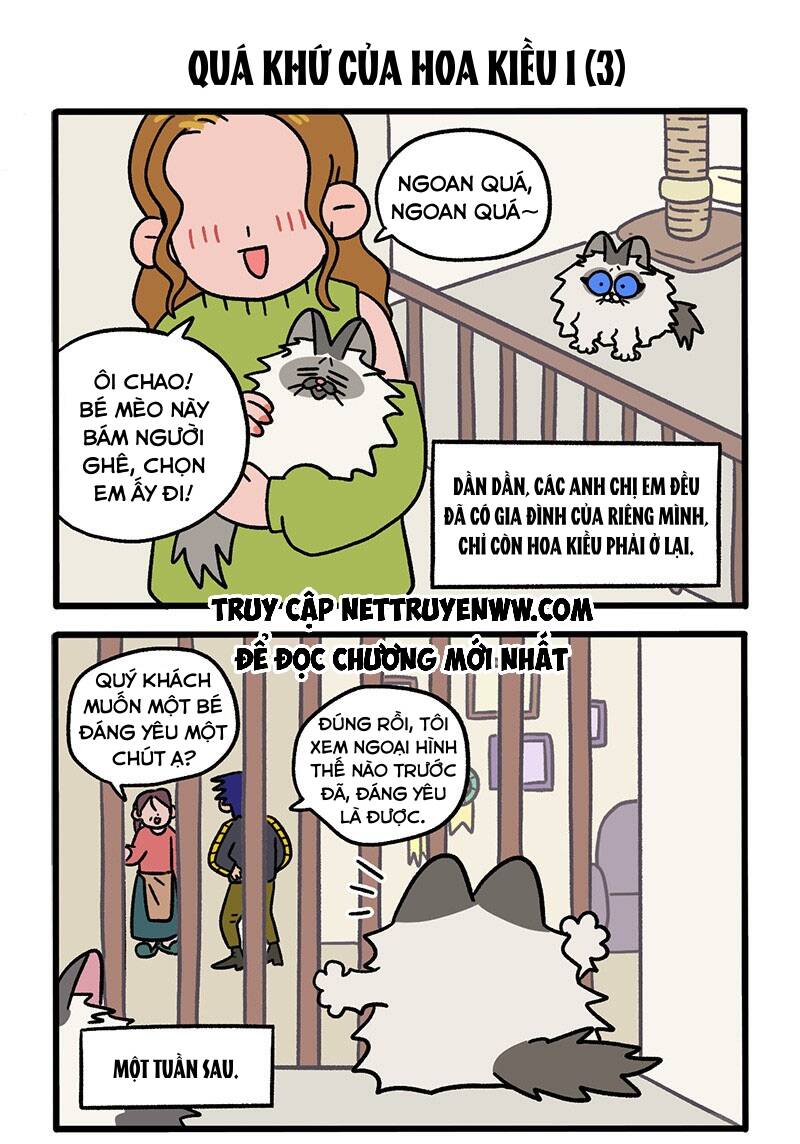 A Mãn Và Mạch Trà Chapter 47 - 5