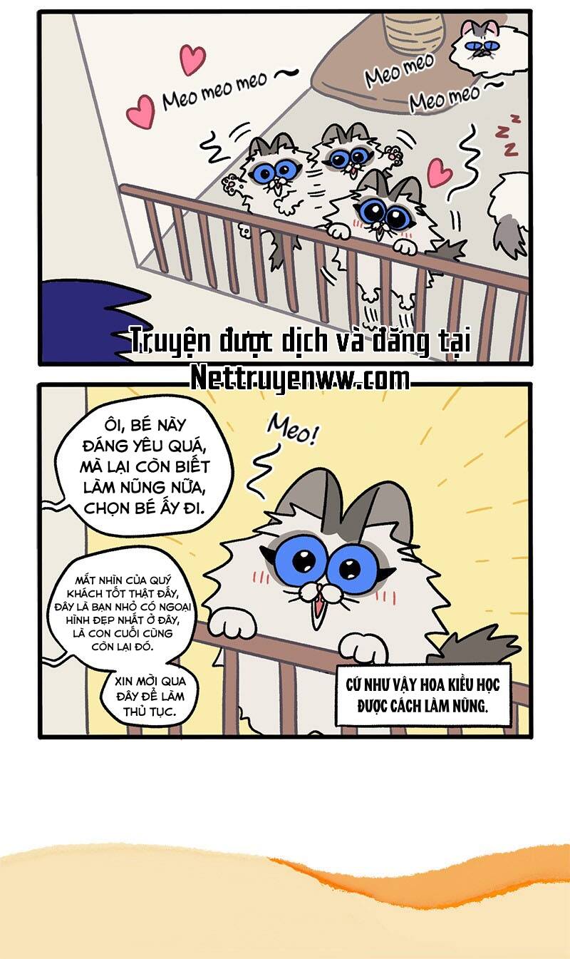 A Mãn Và Mạch Trà Chapter 47 - 6