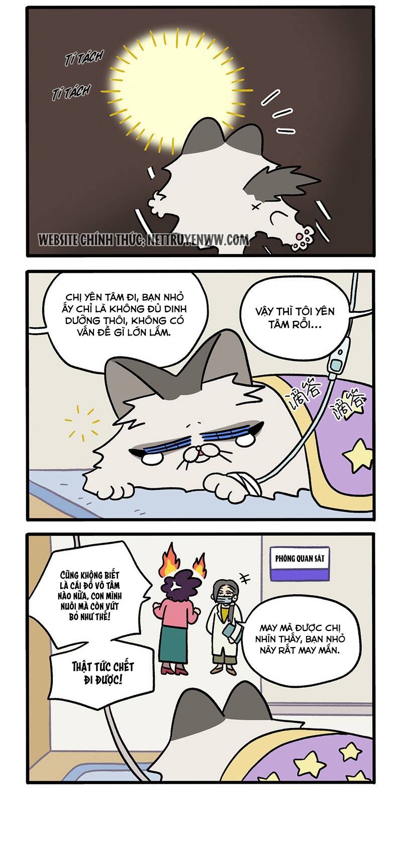 A Mãn Và Mạch Trà Chapter 48.1 - 2